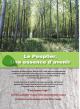 2014 / Le Peuplier, une essence d'avenir